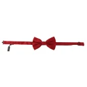Dolce & Gabbana Herre Accessories Rød ONE SIZE,
