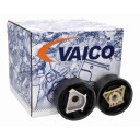 Motorfeste VAICO V10-8672