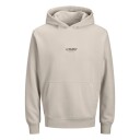 Jack & Jones Junior Moonbeam Jjesoho Sweat Hette Noos Jnr 128