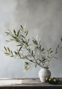 Olive Branch on Wooden Table Still Life Plakat Plakat / 50x70cm