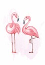 Watercolor Flamingos Plakat Plakat / 100x150cm