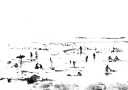 Beach Plakat / 40x50
