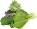 Click And Grow Smart Garden Refill 9 pack   Asiatisk köksblandning