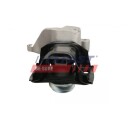FAST FT52034 Motorfeste