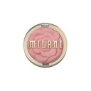 Rose Powder Blush Blossomtime Rose