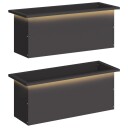 vidaXL Hageplantekasse med LED 2 stk. Svart 30 x 80 x 30 cm Stål