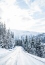 Winter Norway Road Plakat Plakat / 40x50cm