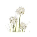 Europalms Allium Grass Artificial Plant, White, 120 Cm