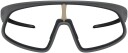 Oakley RSLVmatte carbon/photochromic