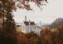 Neuschwanstein Castle in Autumn Plakat Plakat / 50x70cm