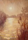 Pond With Reeds At Sunset Poster Plakat / 40x50cm