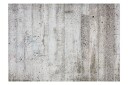 Fototapet Grey Emperor 150x105 - Finnes i flere størrelser