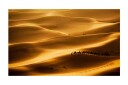 Fototapet Karavan Av Kameler 450x270 - Artgeist sp. z o. o.
