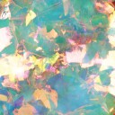 Brillbird Norge MN RAINBOW FLAKES