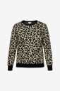 Only Carmakoma   Pullover Caribi JQ LS O neck Knt   Svart