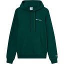 Champion Hettegenser Hooded Sweatshirt Grønn