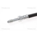 Bremseslange TRISCAN 8150 10109