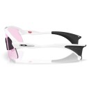 Oakley Stunt Devil S Matte White W/Prizm Low Light OS