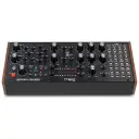 Moog Labyrinth