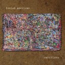 Souled American  Sanctions  CD