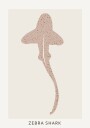 Zebra Shark Plakat Plakat / 50x70cm