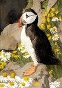 Puffin Plakat Plakat / 50x70cm