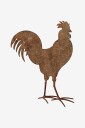 Wikholm Form S 2 Rooster Brun