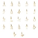 DARK Letter Charm T