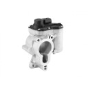 EGR Ventil WAHLER 710939D