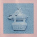 Anthony Green Pets Vinyl
