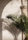 Arched Light 2 Plakat Plakat / 30x40cm