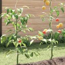  Spiral plantestøtter 5 pcs sølv 150 cm Galvanisert stål