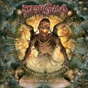 Structures Of Death  LP/Vinyl
