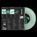Shark Brain Dolphin Usa Vinyl
