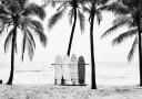 The Boards Plakat / 21x30