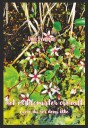 Det er blomster overalt