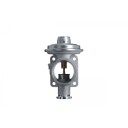 EGR Ventil VALEO 703269