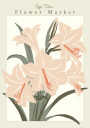 Flower Market Cap Town Amaryllis Plakat Plakat / 21x30cm