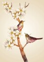 Bird On Branch Plakat Plakat / 21x30cm