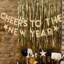 Girlander Cheers to the New Year Gull