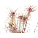 Europalms Sunny Grass Artificial Plant, 120 Cm