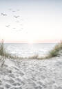 Seagulls and Sandy Beach Plakat Plakat / 100x150cm