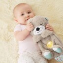 Fisher Price Soothe 'n Snuggle Otter