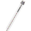 Osram Floura T8 150 cm LED-lysrør 18,3W for plantevekst, varm hvit 2500K