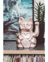 Donkey Lucky Cat Maneki-Neko Moonlight 330439