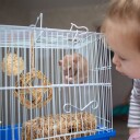 Northix Hamstertilbehør 5 Stk.