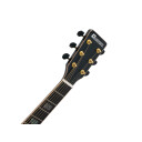 Dimavery Tw-85 Western Guitar, Massive