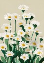 Daisy Meadow Morning Plakat Plakat / 21x30cm