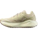 Salomon Men's Aero Glide 3 Grvl Green Haze/vanilla Ice/russet 42 2/3