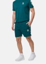 Hummel hmlFUTURE SWEAT SHORTS